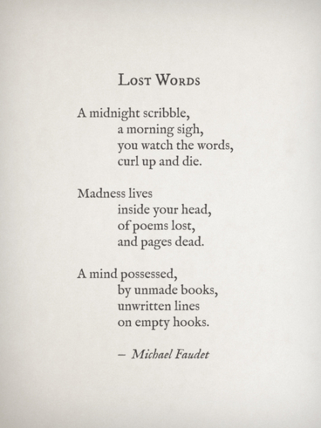 Michael-Faudet-16