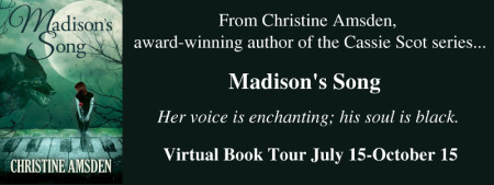 Madison's Song VBT Banner